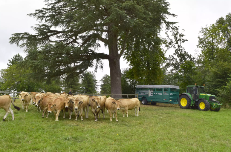 Bétaillère BRUNEAU POMODIS